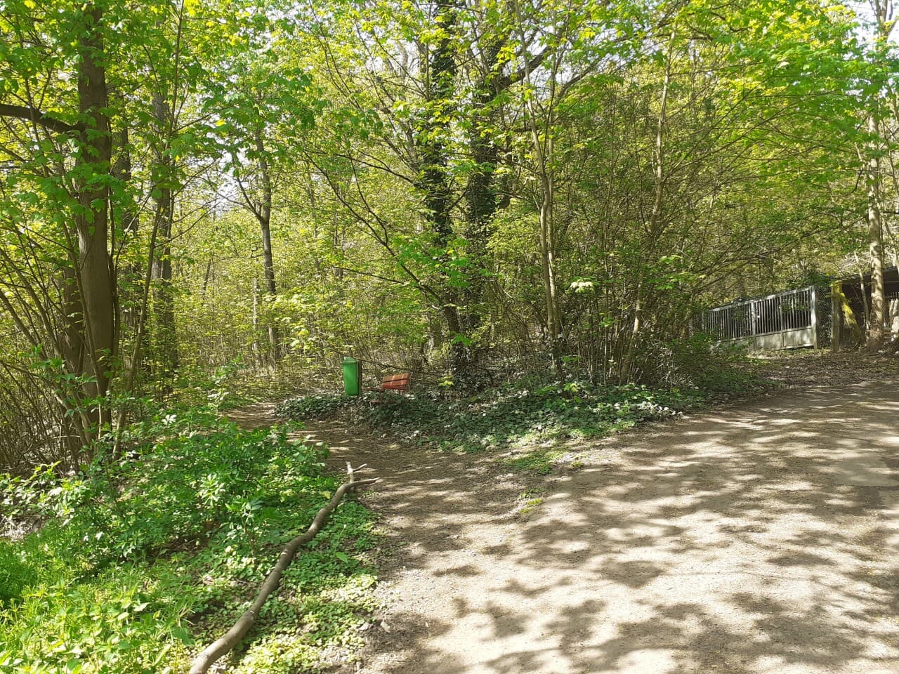 Maisonette in Bad Nauheim – Bild 7