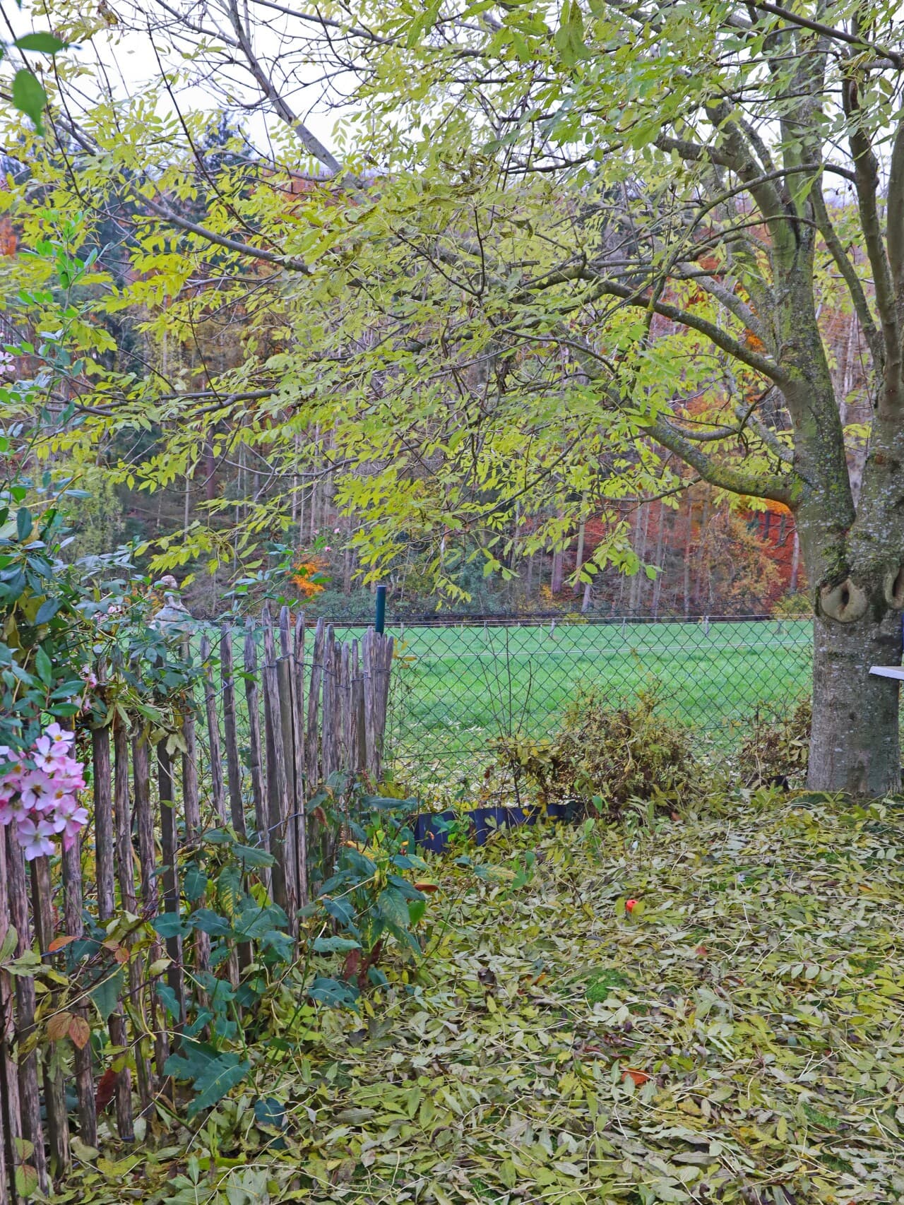 Einfamilienhaus in Lautertal – Bild 22