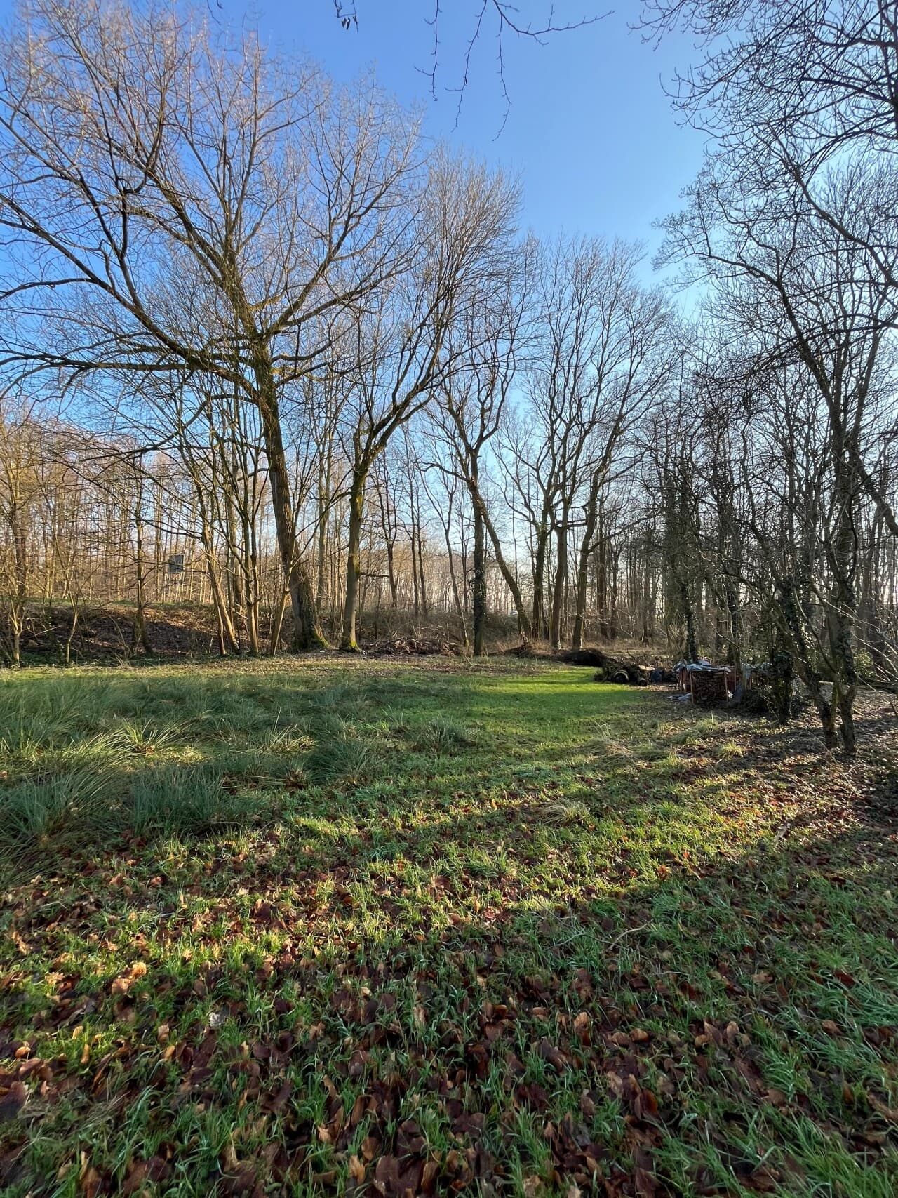 Wohngrundstück in Selfkant – Bild 4
