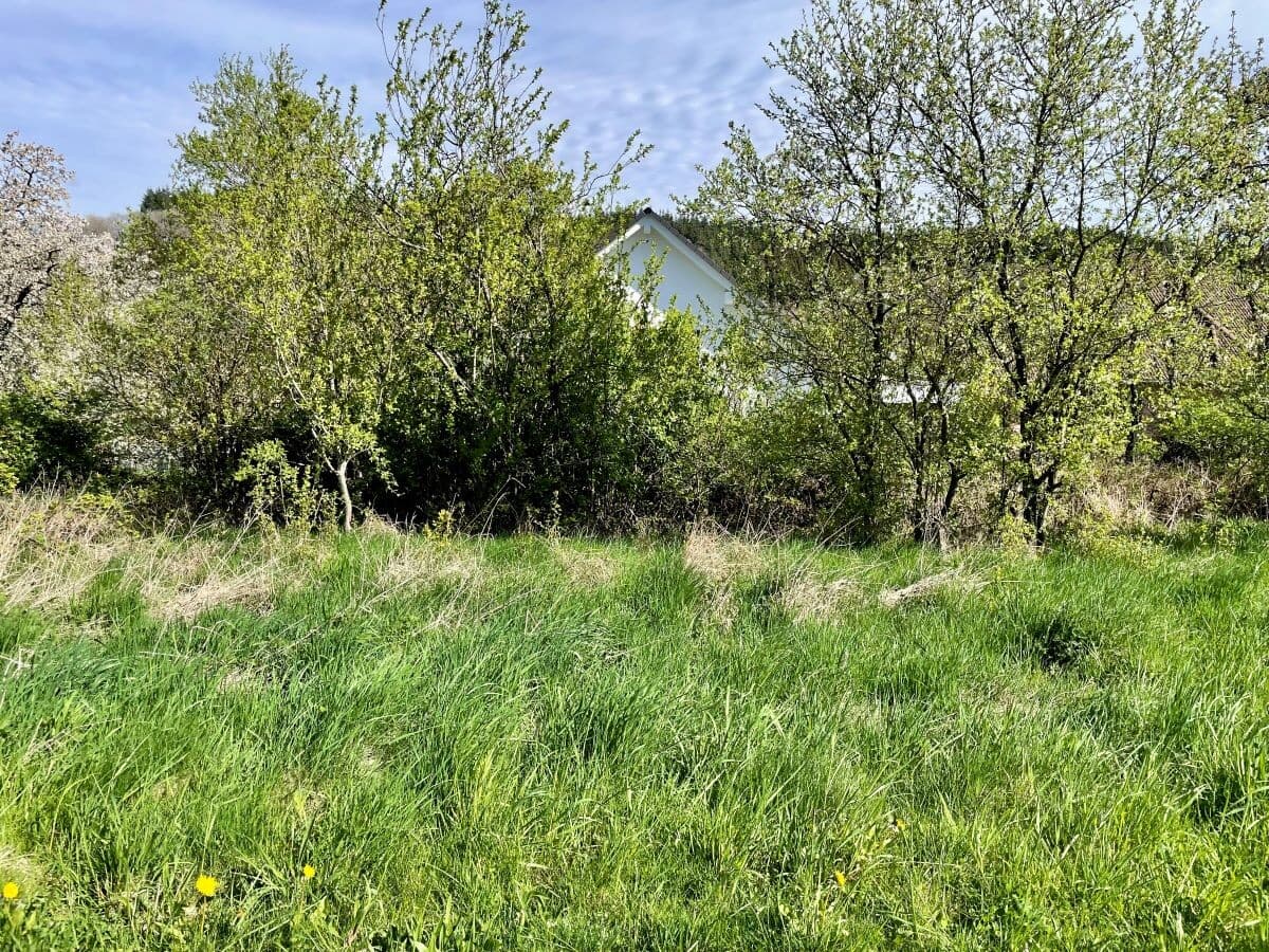 Wohngrundstück in Arft – Bild 3