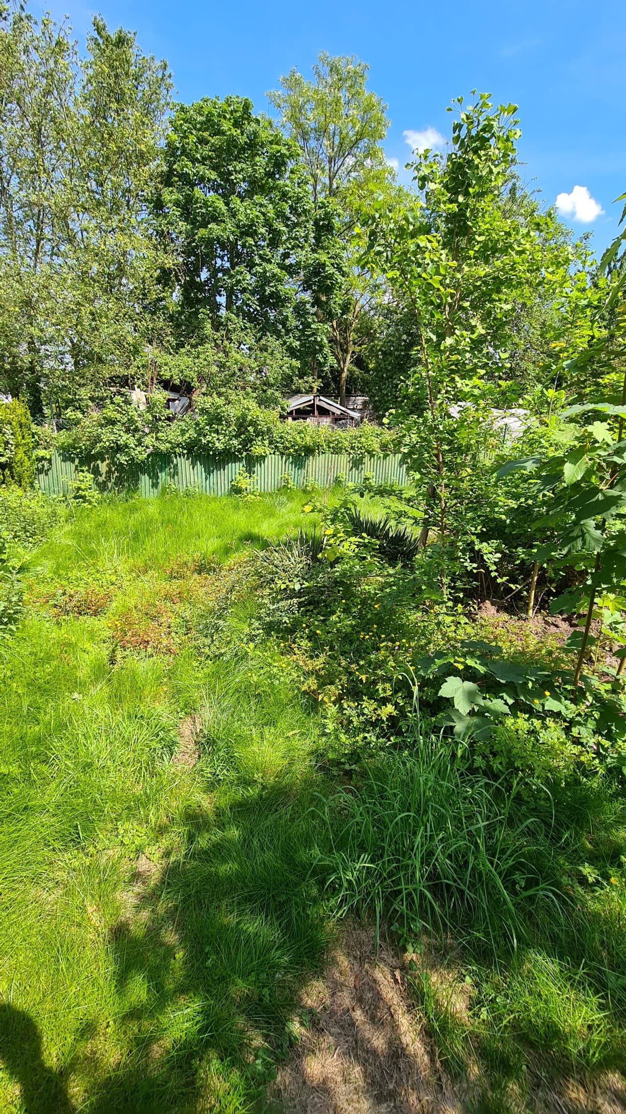 Einfamilienhaus in Wesseling – Bild 4