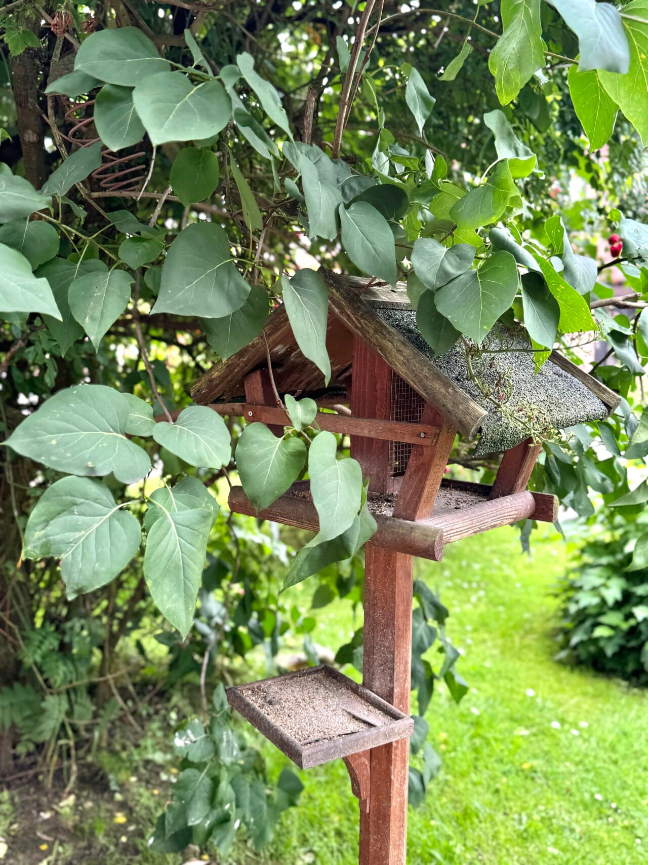Doppelhaushälfte in Niederkrüchten – Bild 6