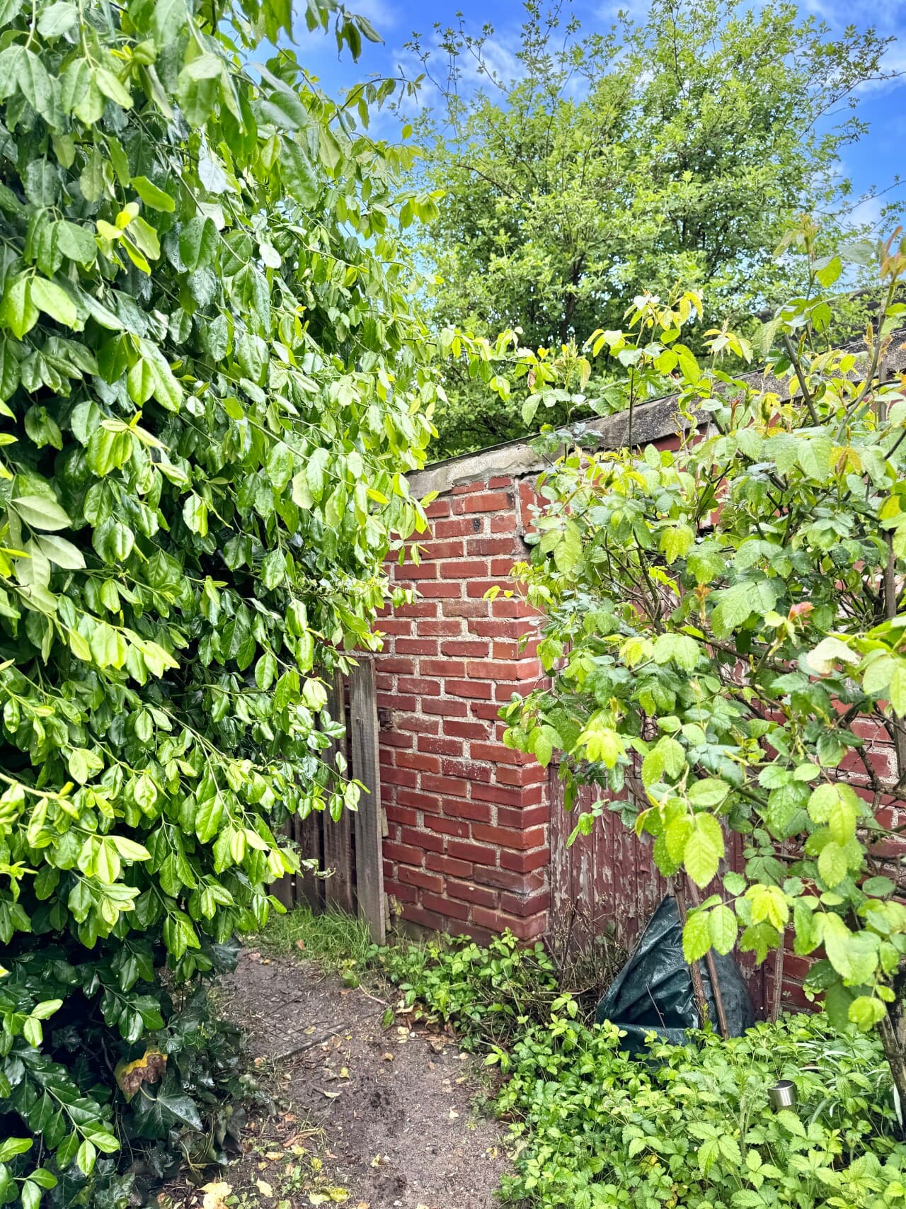 Doppelhaushälfte in Heinsberg – Bild 28