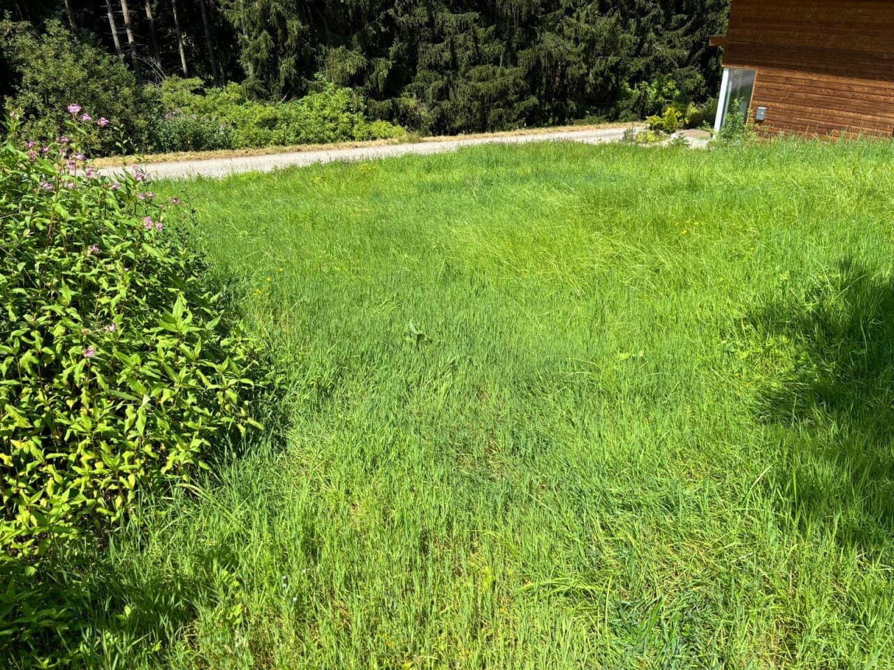Wohngrundstück in Siegsdorf – Bild 5