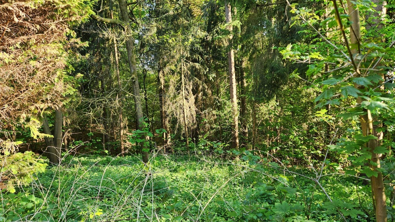 Landhaus in Bochum – Bild 20