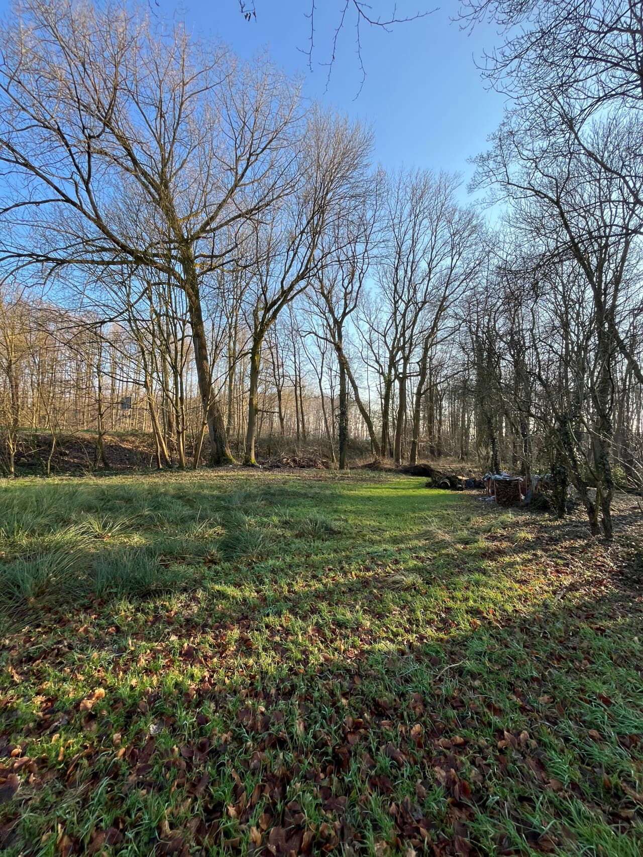 Wohngrundstück in Selfkant – Bild 2