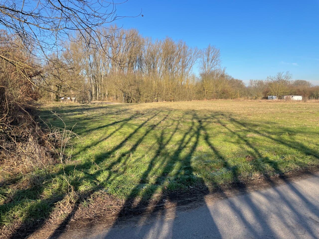 Bauernhof in Budenheim – Bild 3