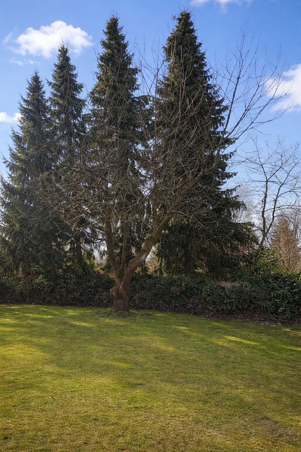 Einfamilienhaus in Hanstedt- Velgen – Bild 27