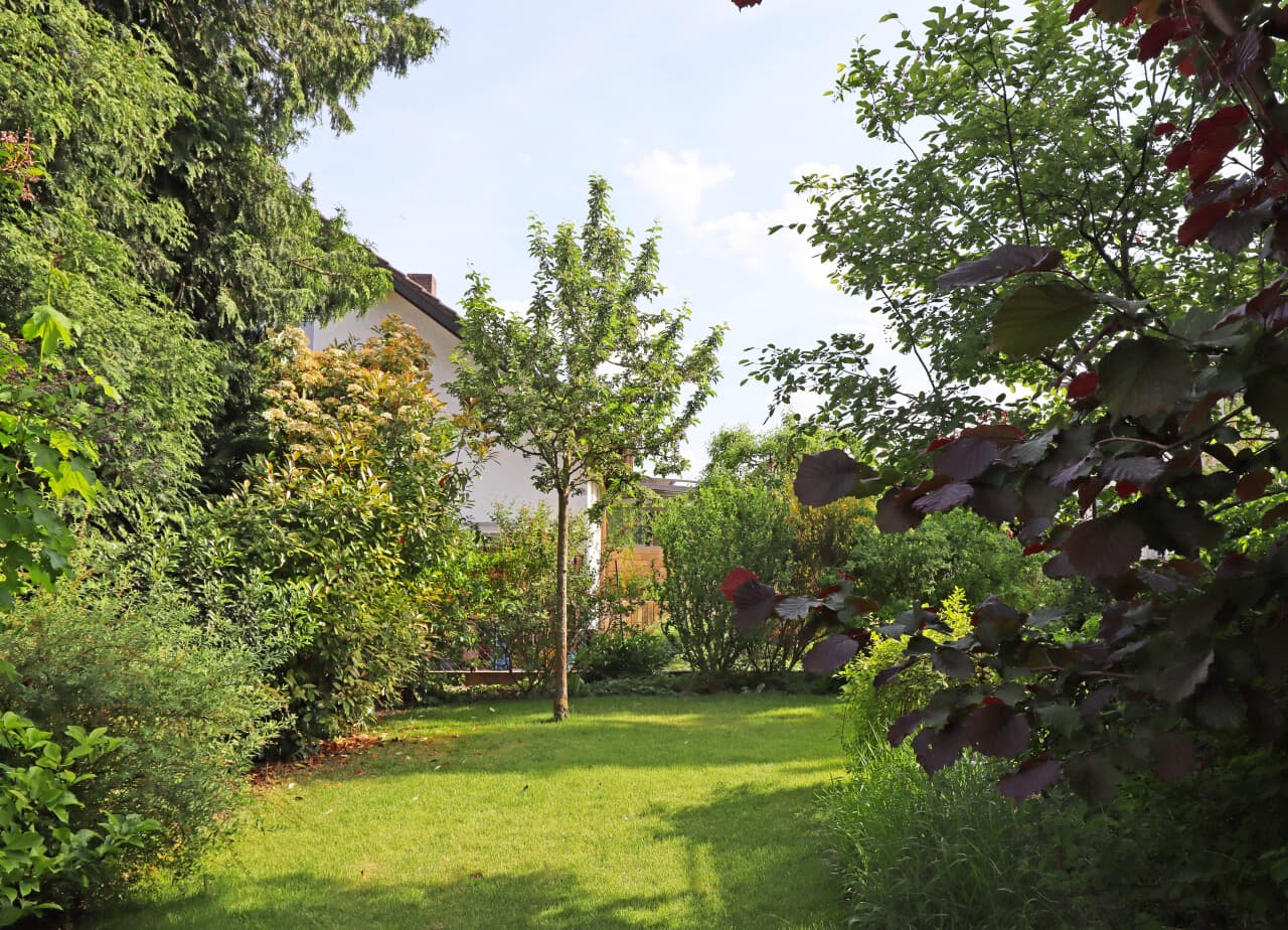 Reihenendhaus in Alsbach-Hähnlein – Bild 2