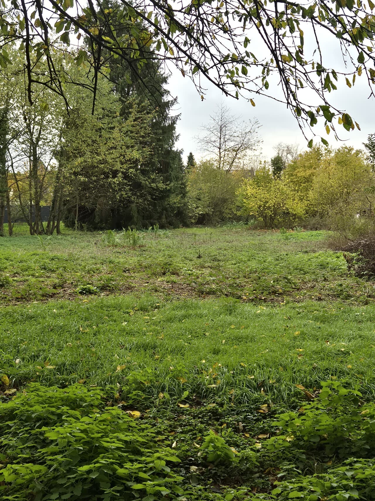 Wohngrundstück in Erftstadt – Bild 7