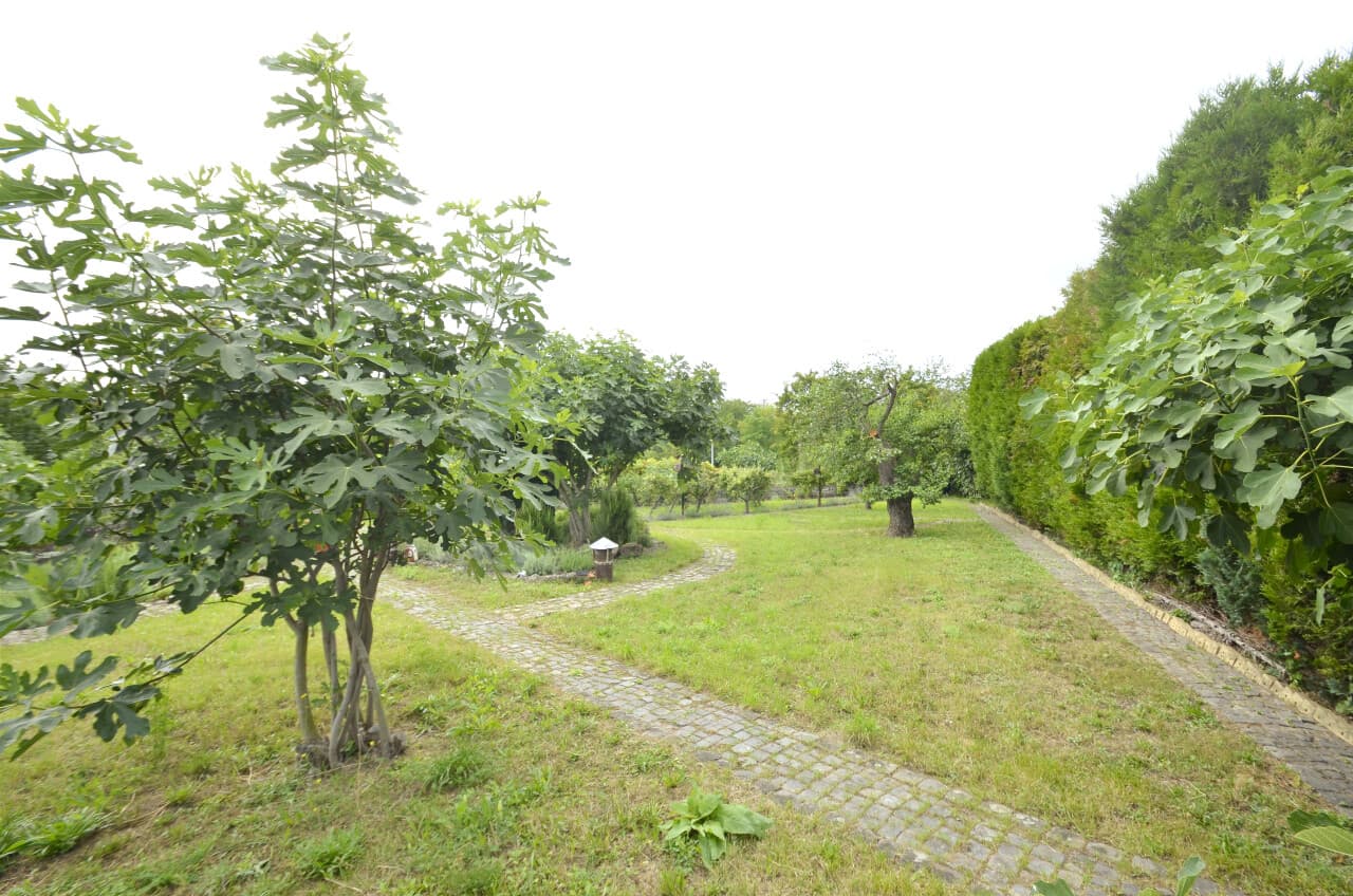 Villa in Gundersheim – Bild 19