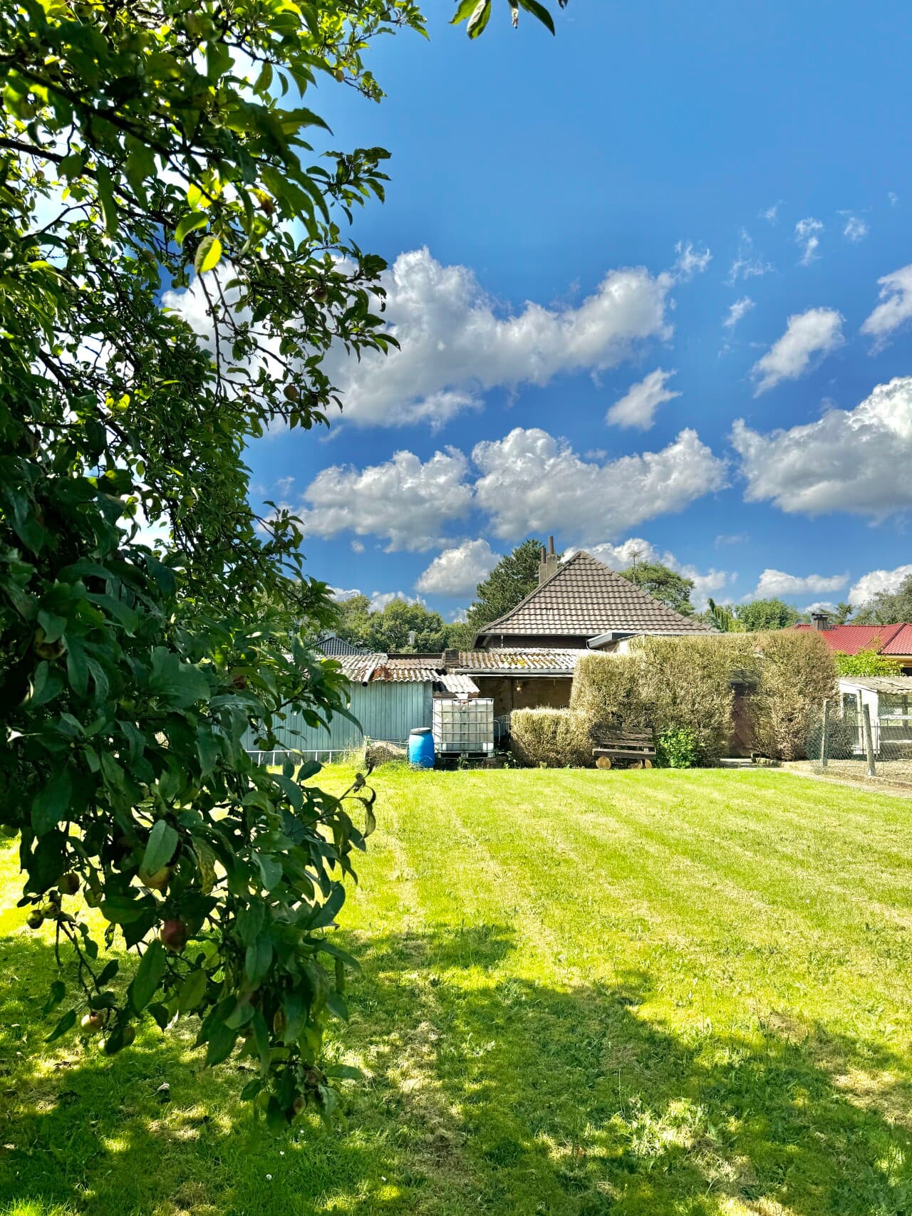 Bungalow in Selfkant – Bild 25