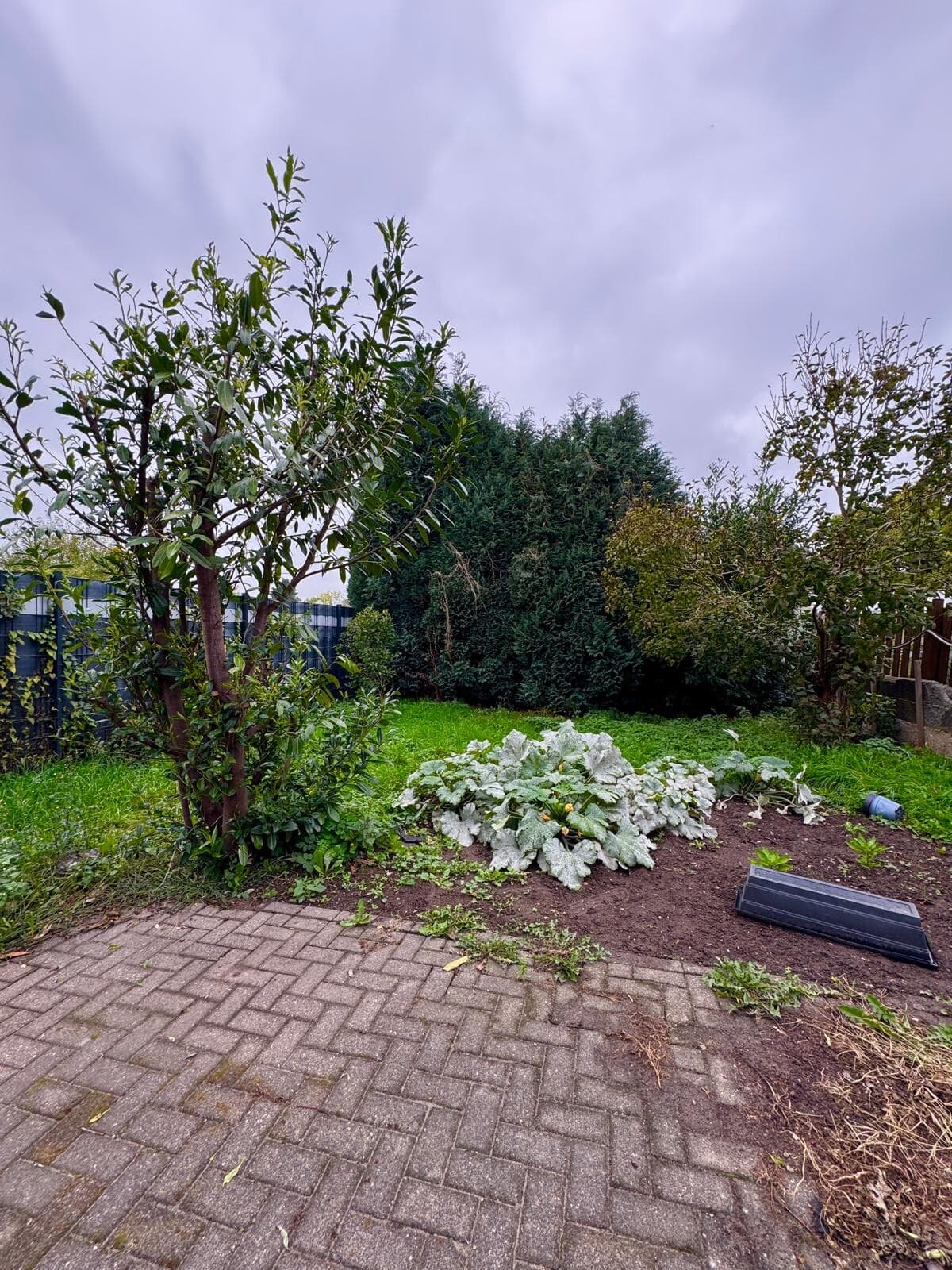 Zweifamilienhaus in Wassenberg – Bild 22
