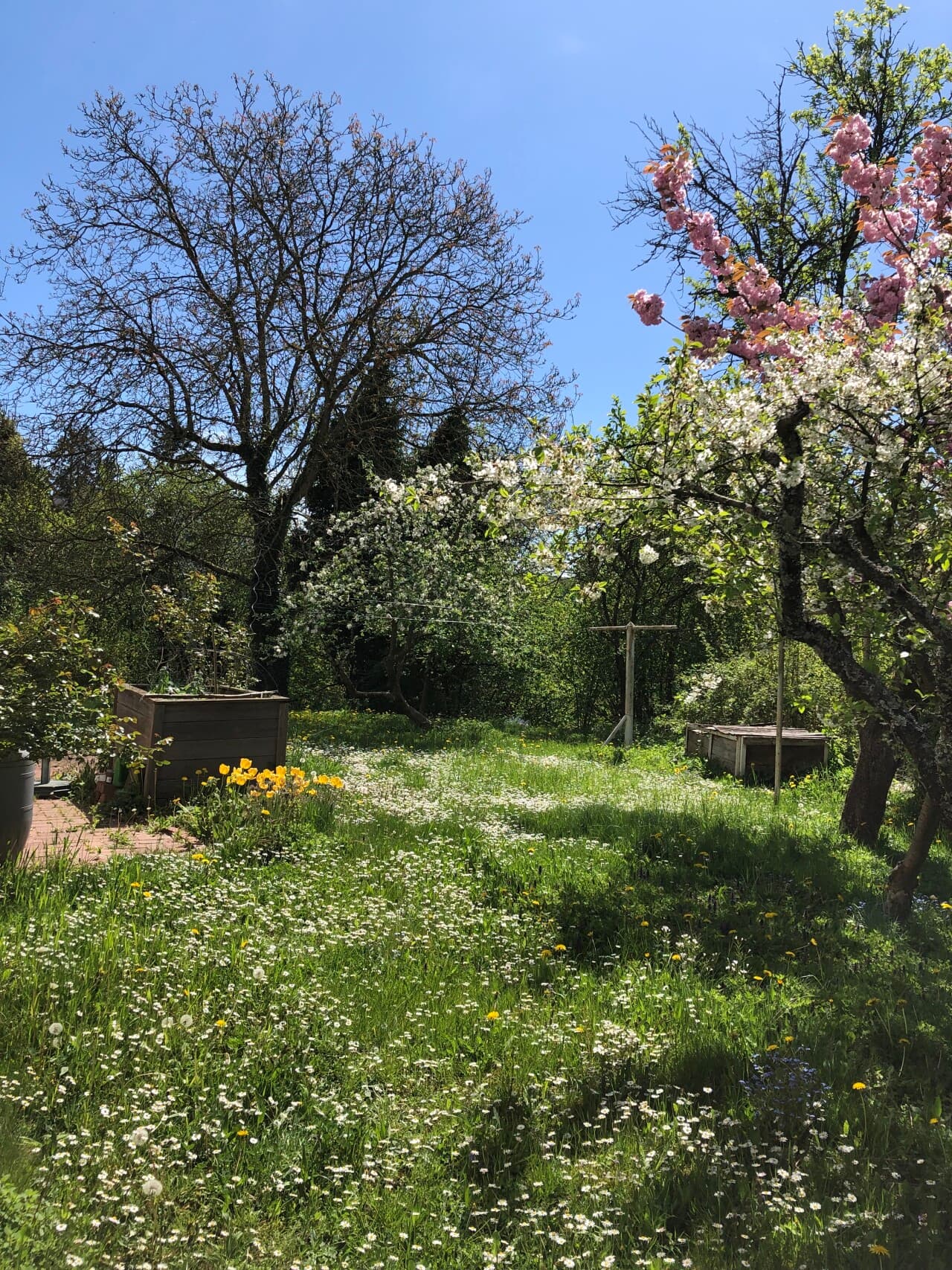 Einfamilienhaus in Breitenbach – Bild 20