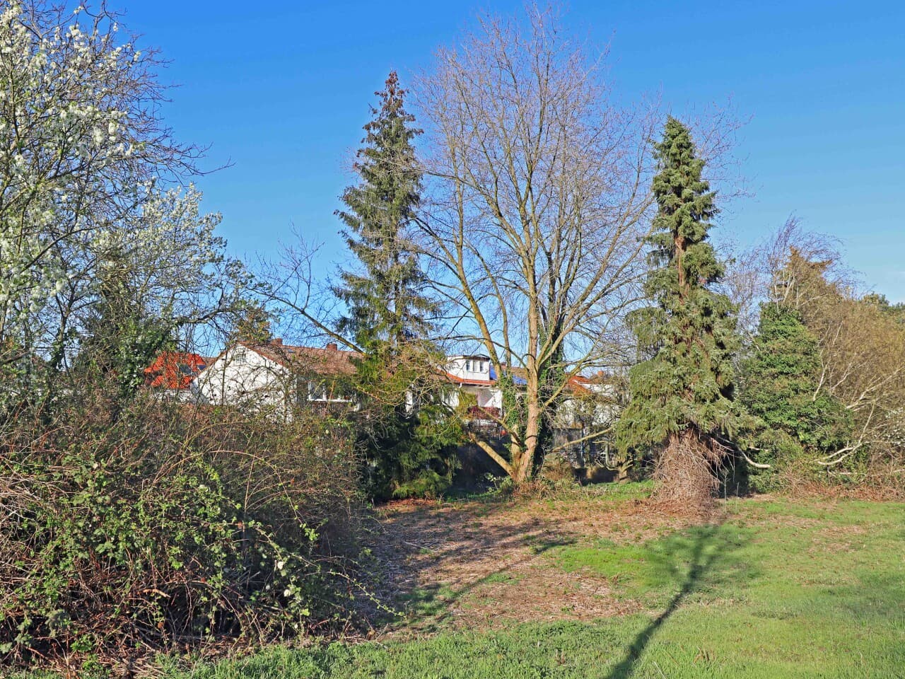 Reihenmittelhaus in Darmstadt – Bild 7