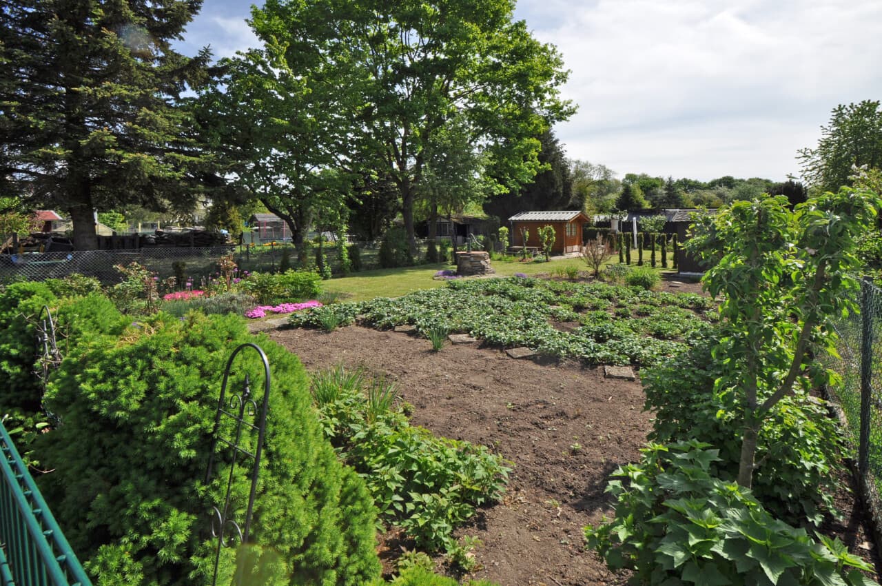Gartenbau in Fernwald-Steinbach – Bild 5