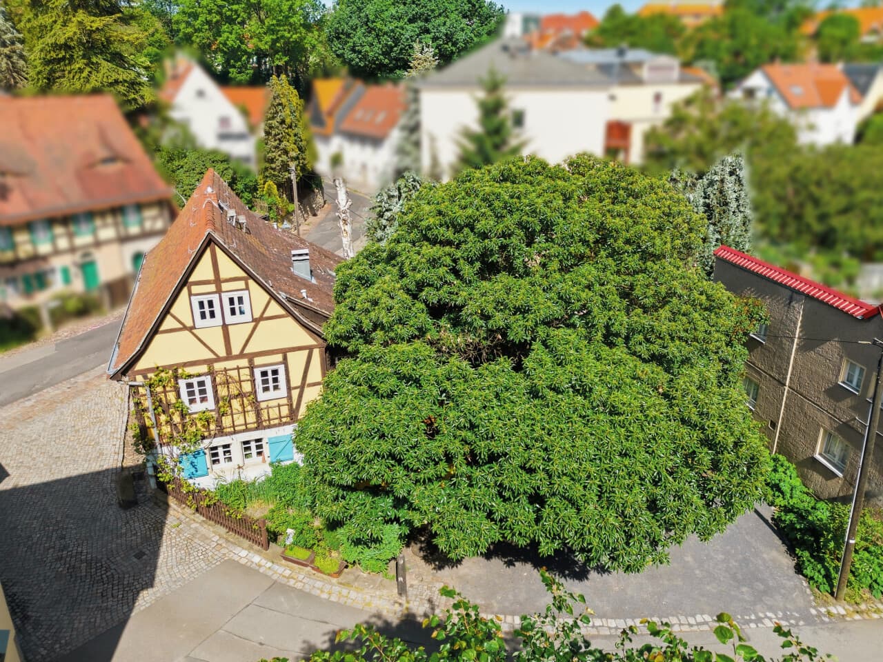 Etagenwohnung in Dresden – Bild 9
