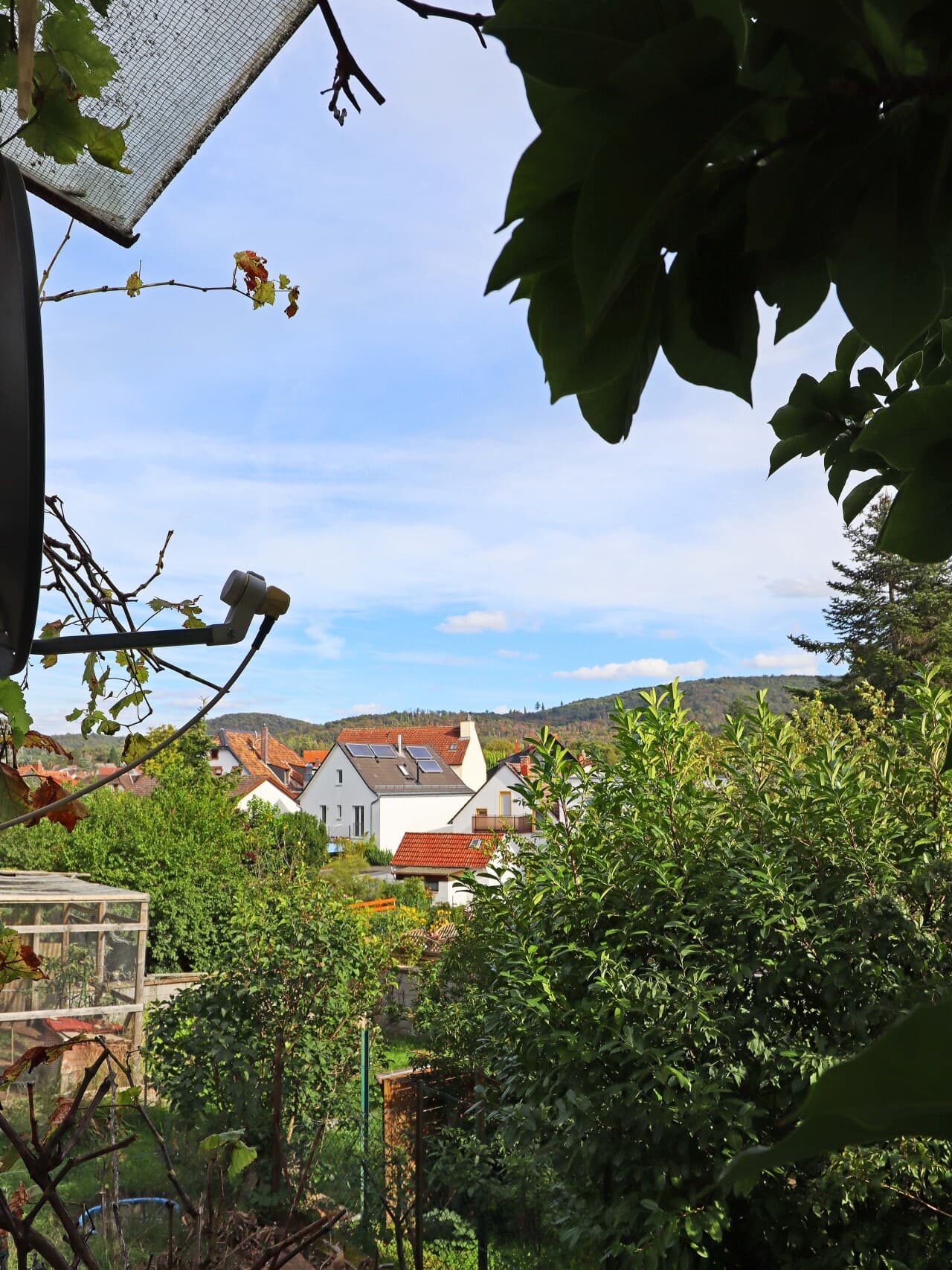 Einfamilienhaus in Darmstadt – Bild 11